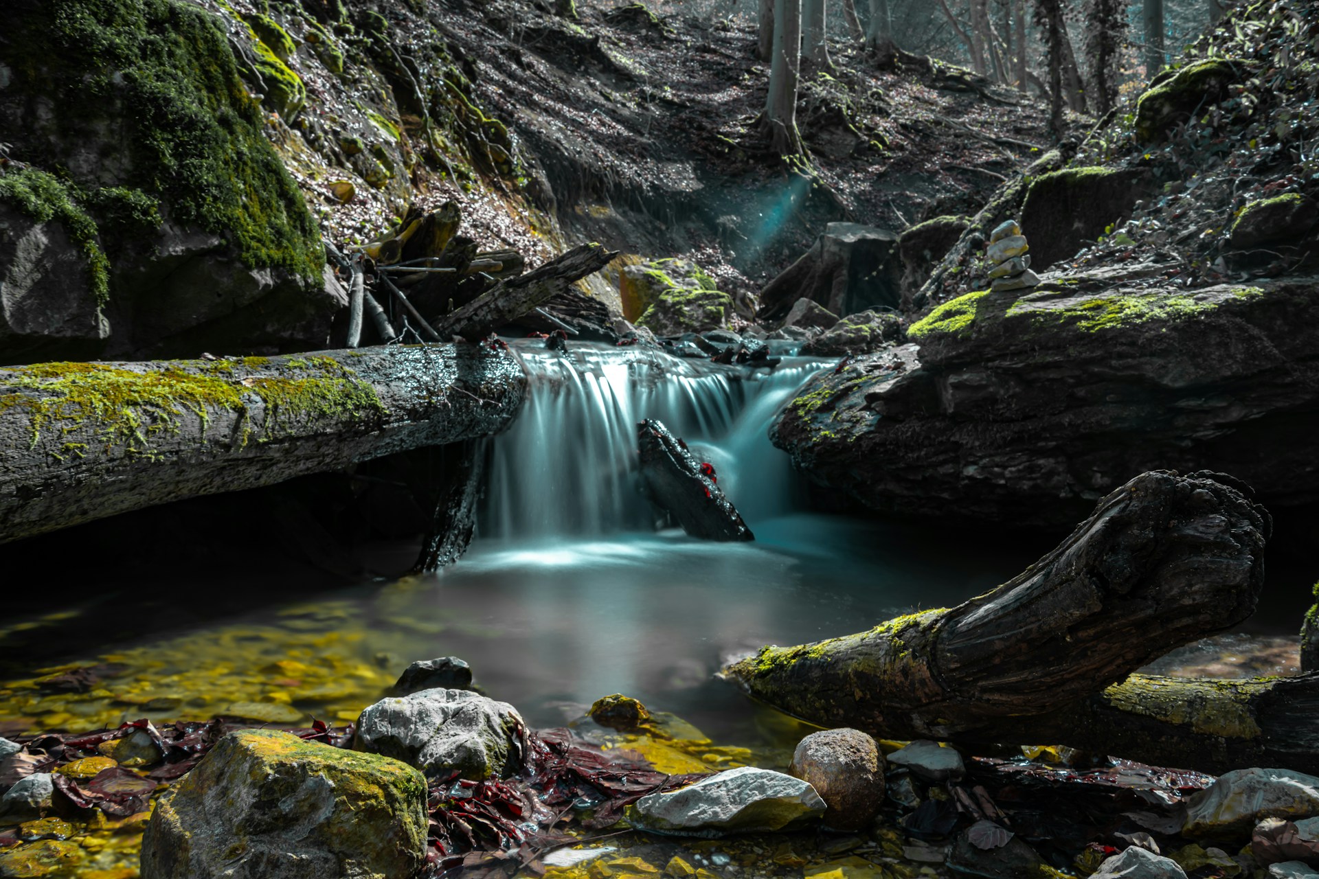 Milieu Naturel